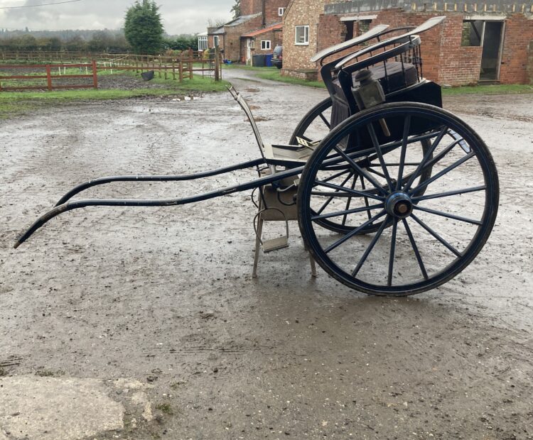 2 wheel spindle back gig to suit 15.2hh - 16.2hh for sale in York