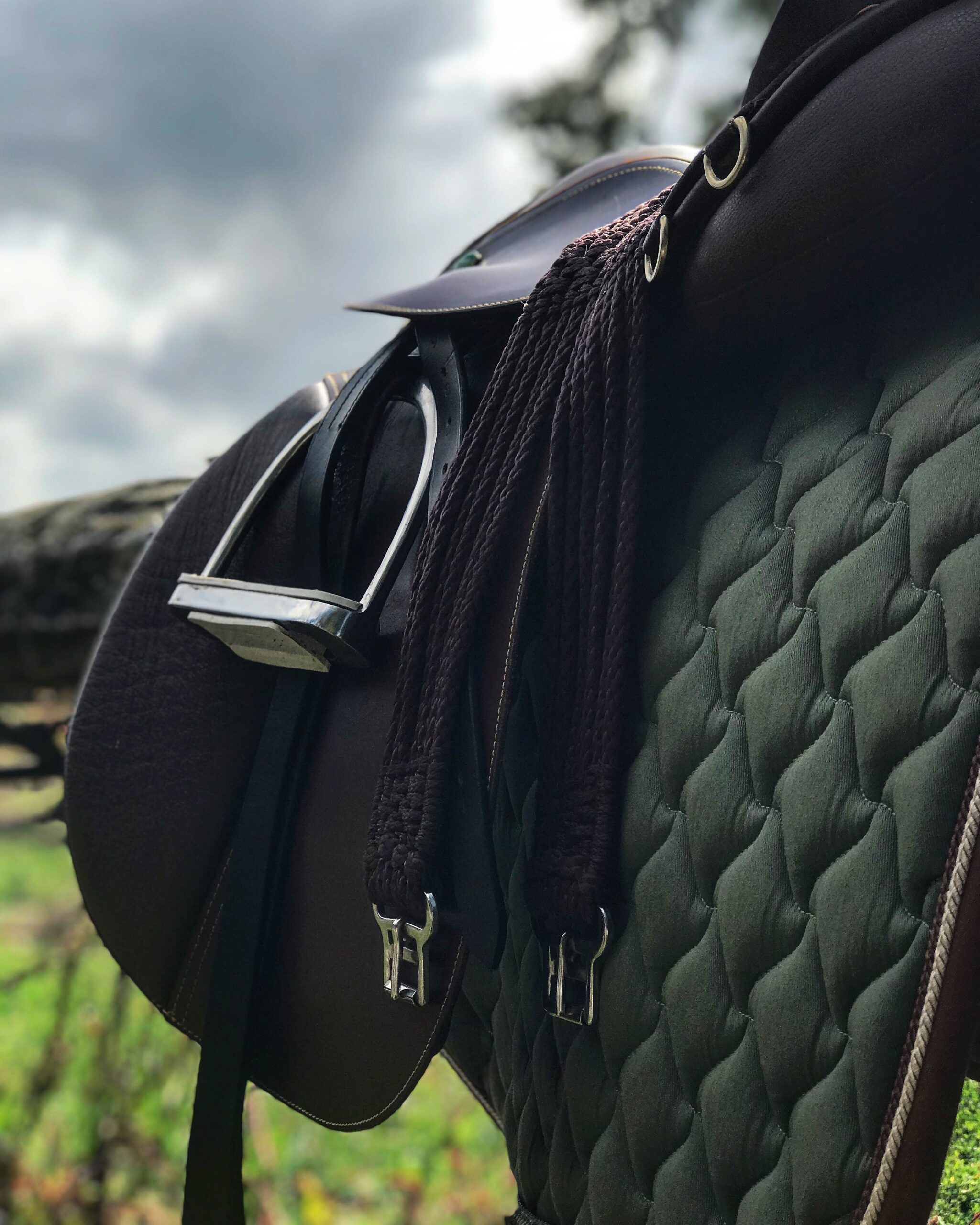 top tips for a buying a new horse