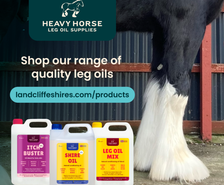 Quality oils for horse feathers, using traditional remedies. Reduces itching, promotes hair growth and soothes sore legs.