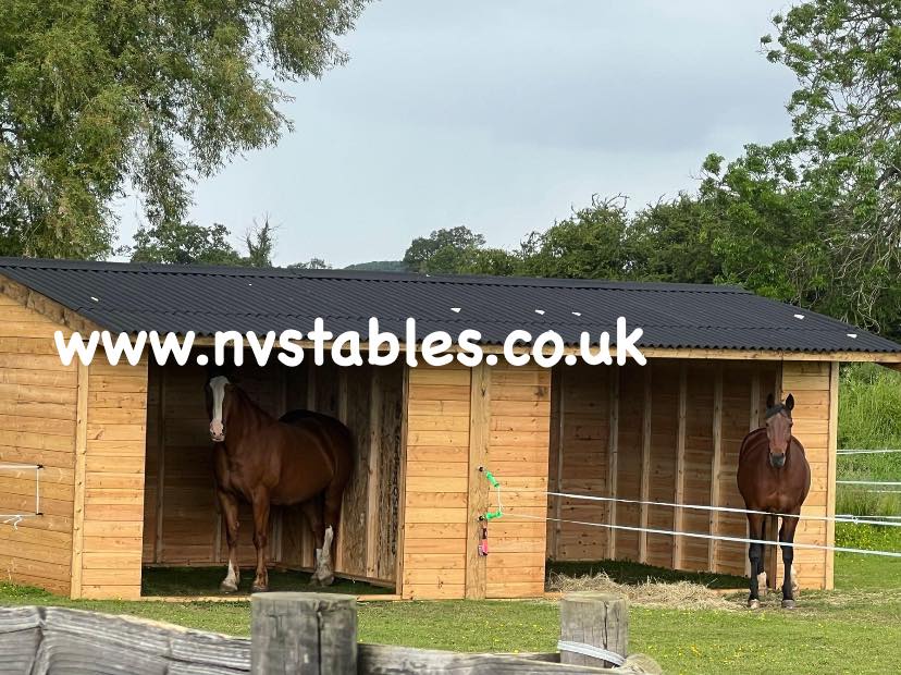 NV Stables - Pocket Horse