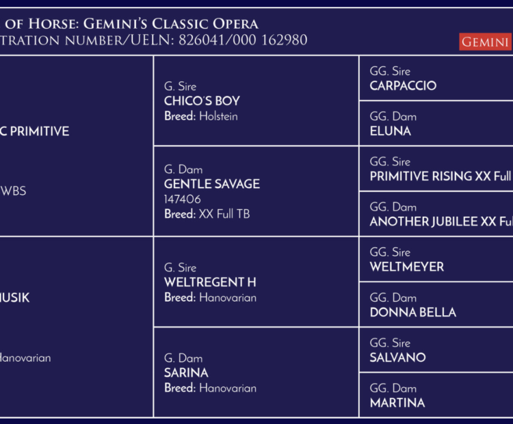 Gemini's Classic Opera Stallion pedigree (Classic Primitive > Chico's Boy > Gentle Savage) (Weltmusik > Weltregent H > Sarina) bloodlines breeding