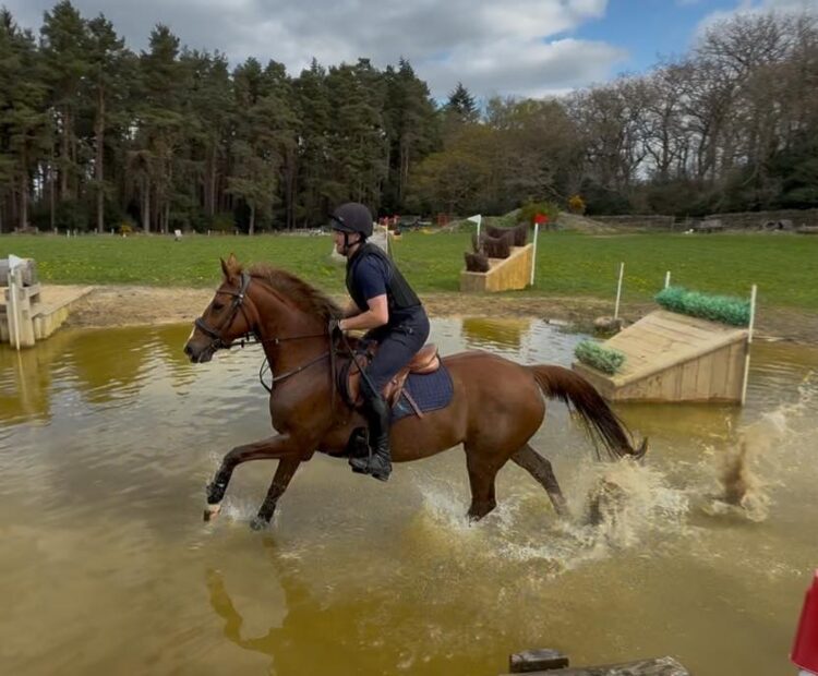 16hh chestnut warmblood mare for sale Northumberland, UK. Seasoned hunter, show jumper all rounder. British Showjumping prospect