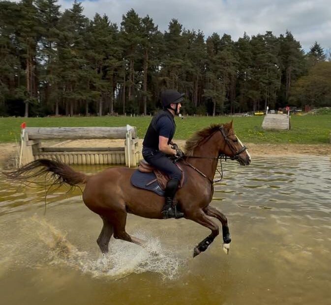 16hh chestnut warmblood mare for sale Northumberland, UK. Seasoned hunter, show jumper all rounder. British Showjumping prospect
