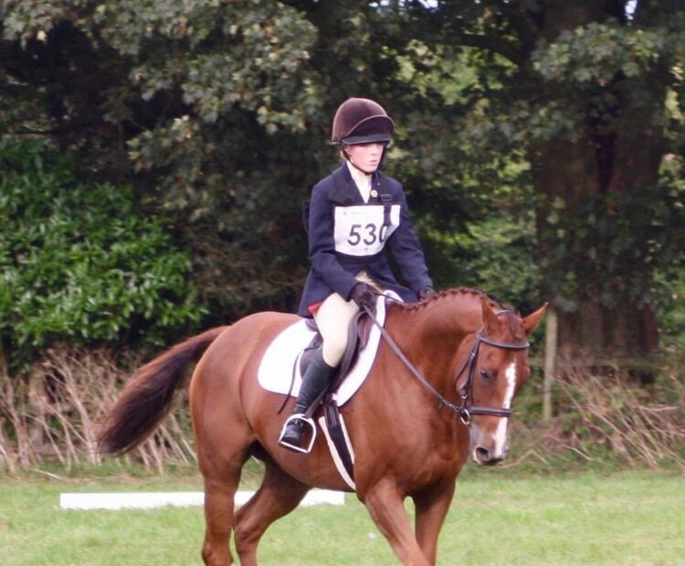 8 year old 15.2hh chestnut gelding for sale Oxford. Retrained racehorse, dressage, show jumper and eventer.