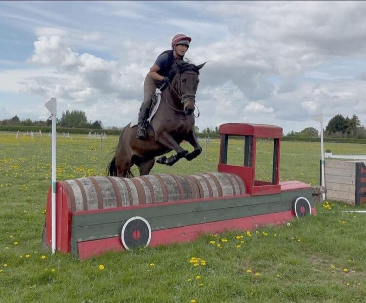 5 year old 15.2hh warmblood cross Welsh pony club or eventing riding horse for sale Northumberland. Brown, mare, for sale