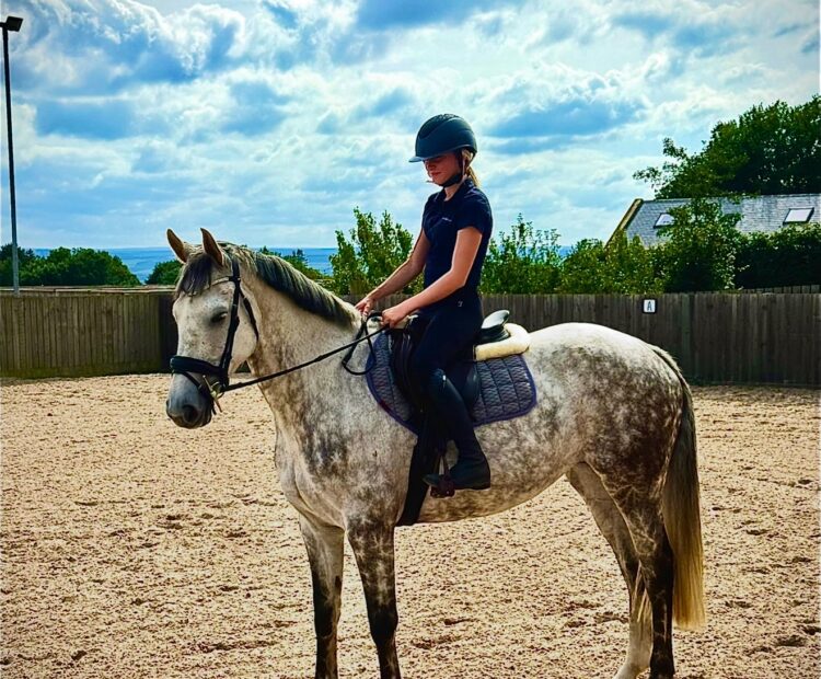 16.1hh 9 year old dapple grey Irish sports horse mare for sale Northumberland. Schools well, super jumper and has hunted. Would suit eventing or cross country.
