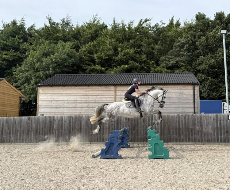 16.1hh 9 year old dapple grey Irish sports horse mare for sale Northumberland. Schools well, super jumper and has hunted. Would suit eventing or cross country.