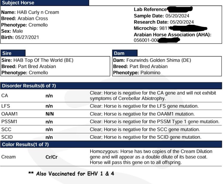 HAB Curly N Cream Arab Stallion genetics sheet